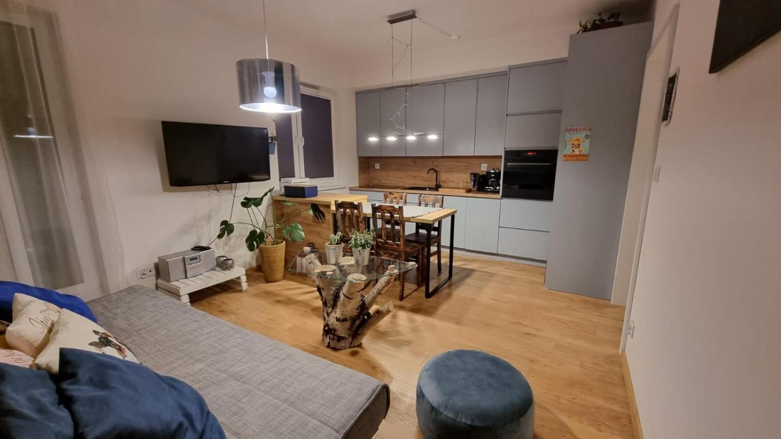 Apartament Chihuahua_apartaments *