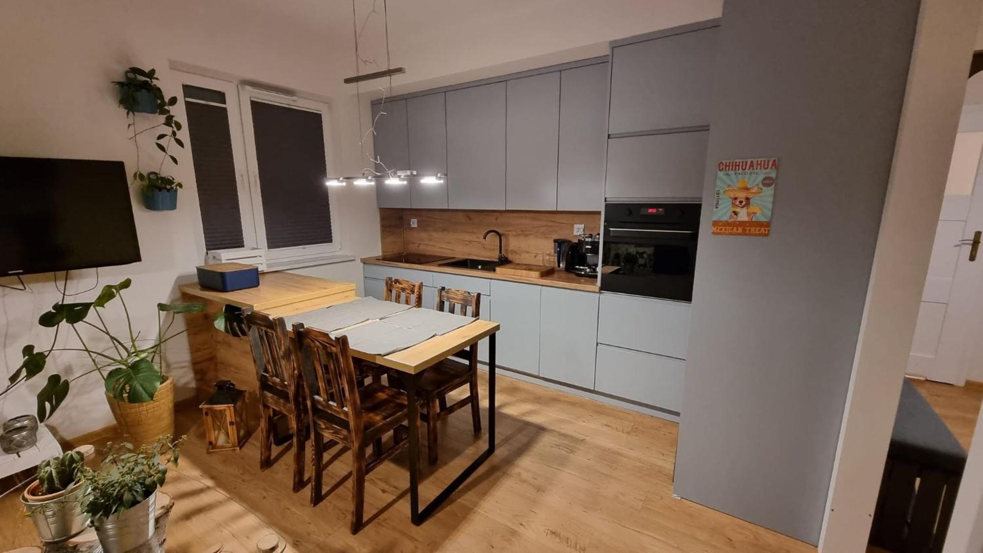 Apartament Chihuahua_apartaments Kraków