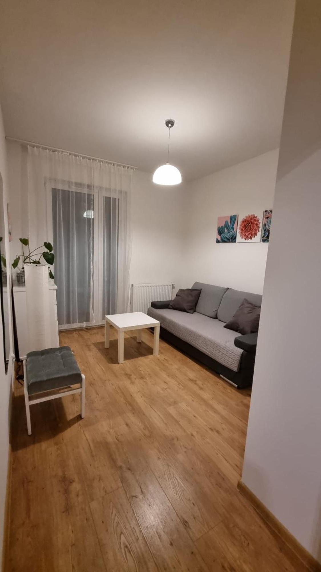 Apartament Chihuahua_apartaments Kraków